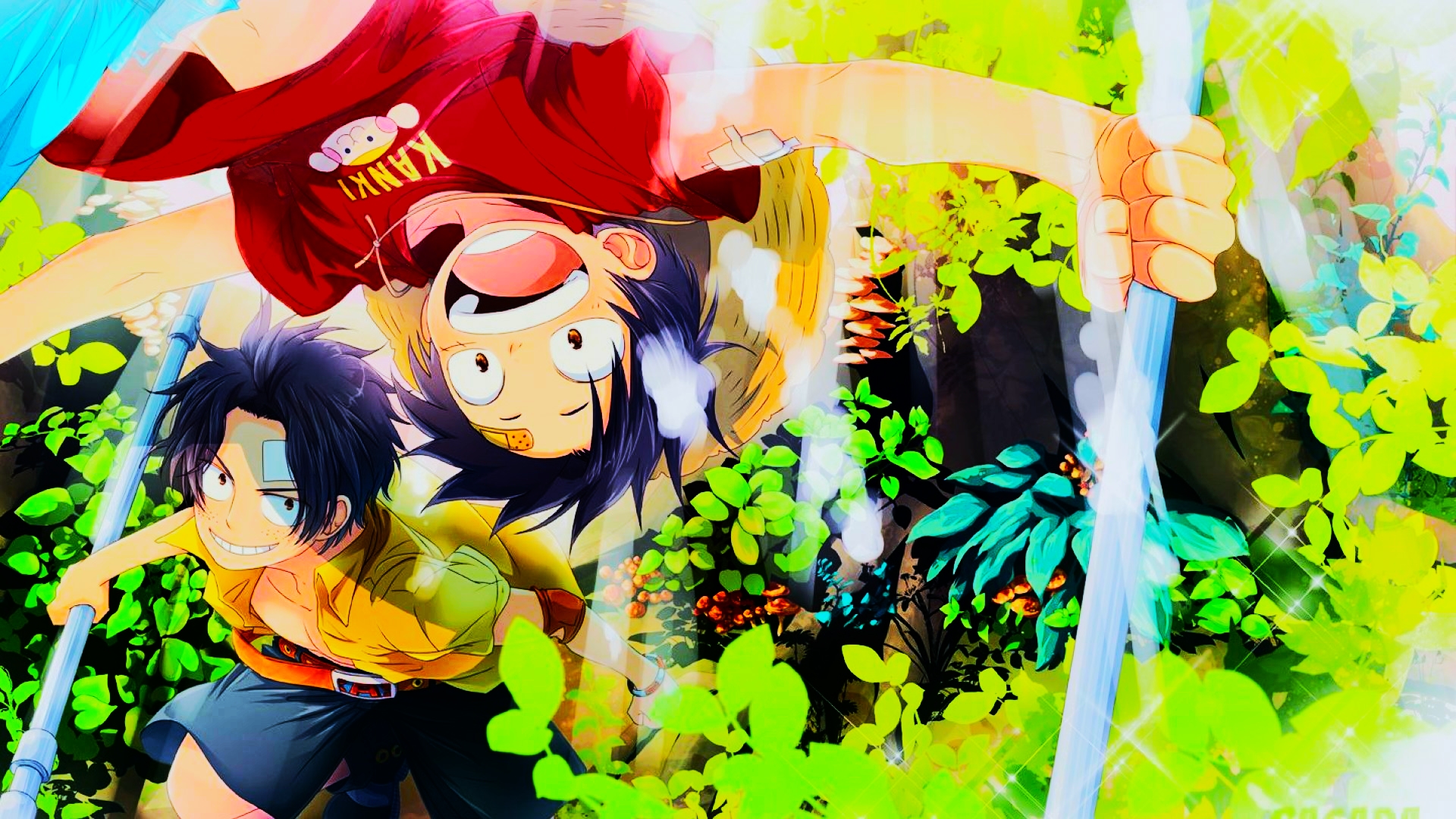 bannière de One Piece